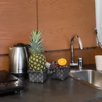 Apartment Orkana Zakopane