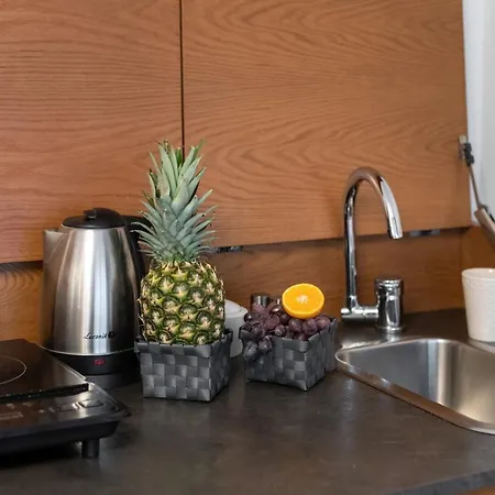 Lejlighed Orkana Zakopane